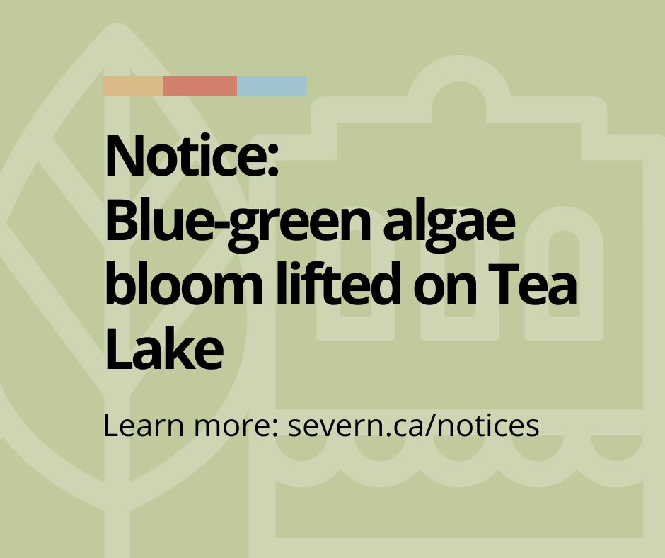 Algae bloom lifted on Tea Lake