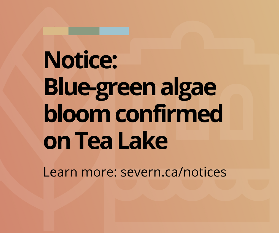 Notice of algae bloom on Tea Lake