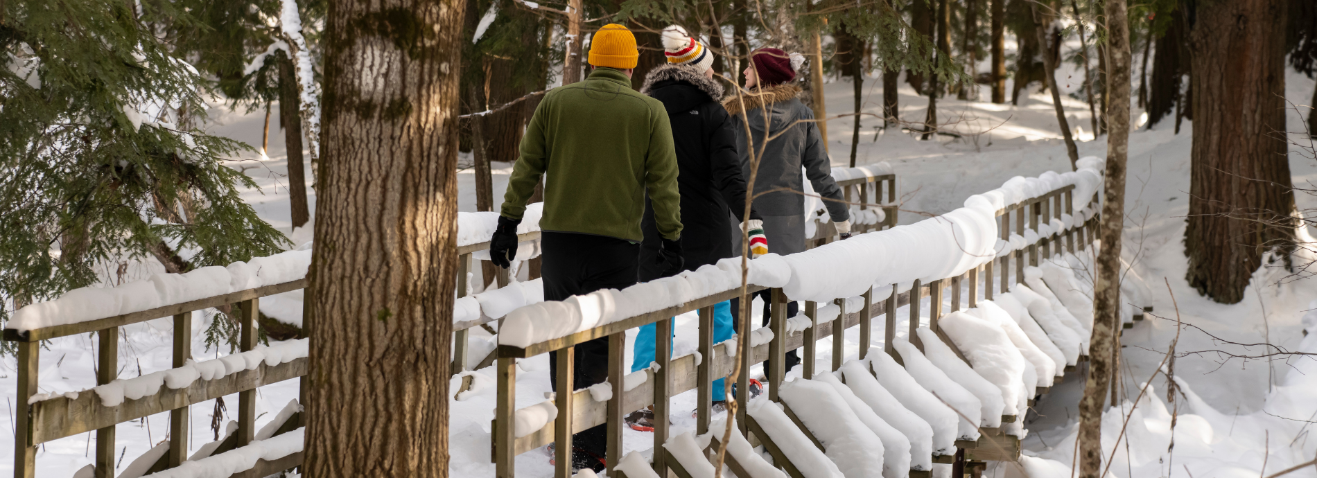 snowshoeing in Grants Woods