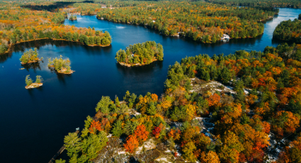 aerial view of Severn