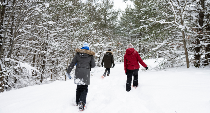 three people snowshoeing in the woods