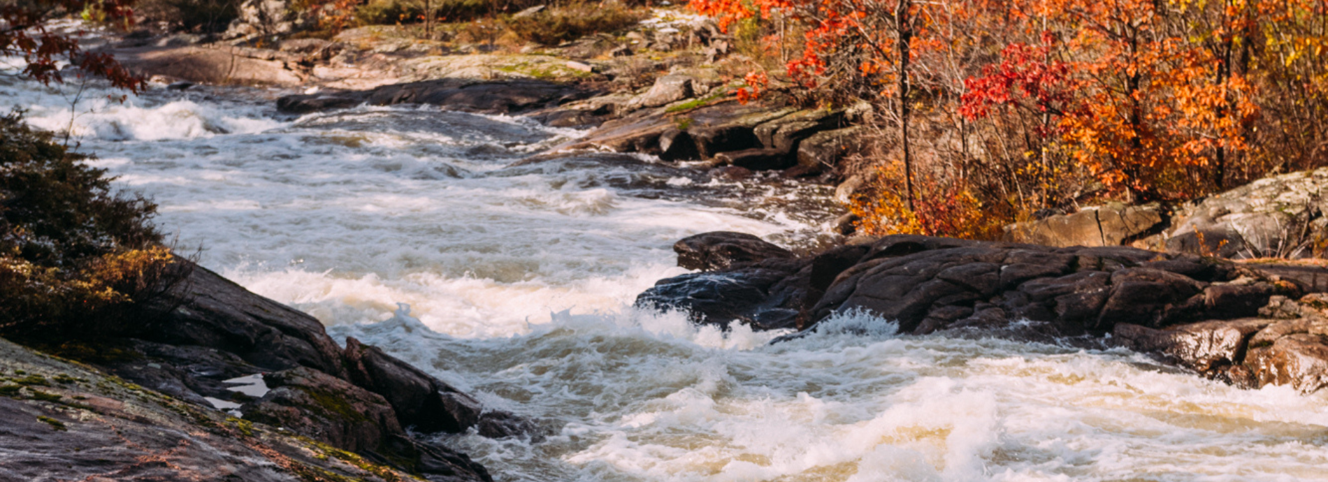 Severn River in fall