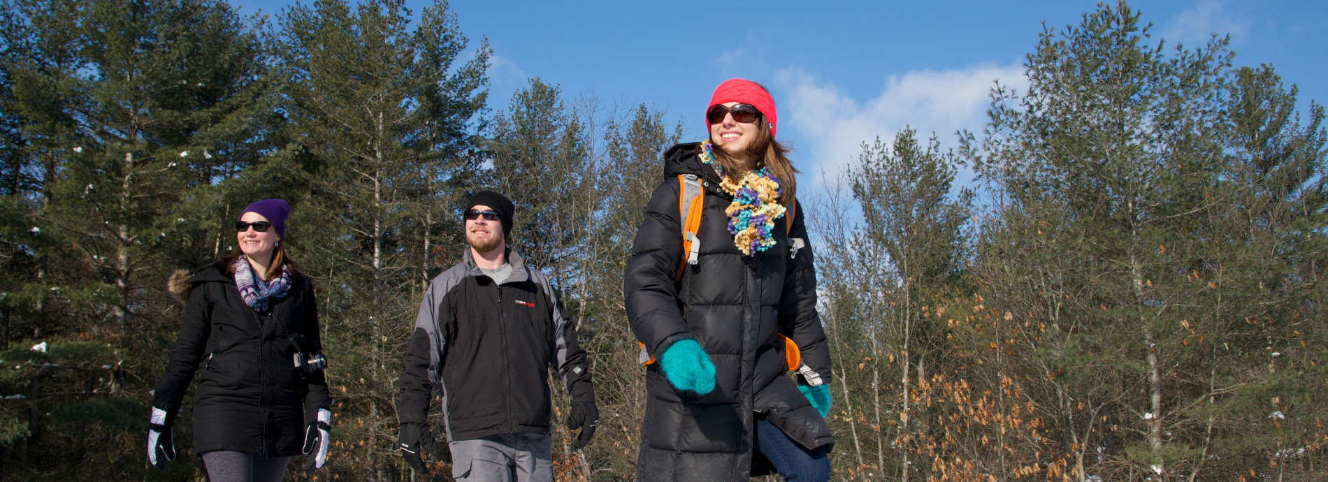 three people snowshoeing