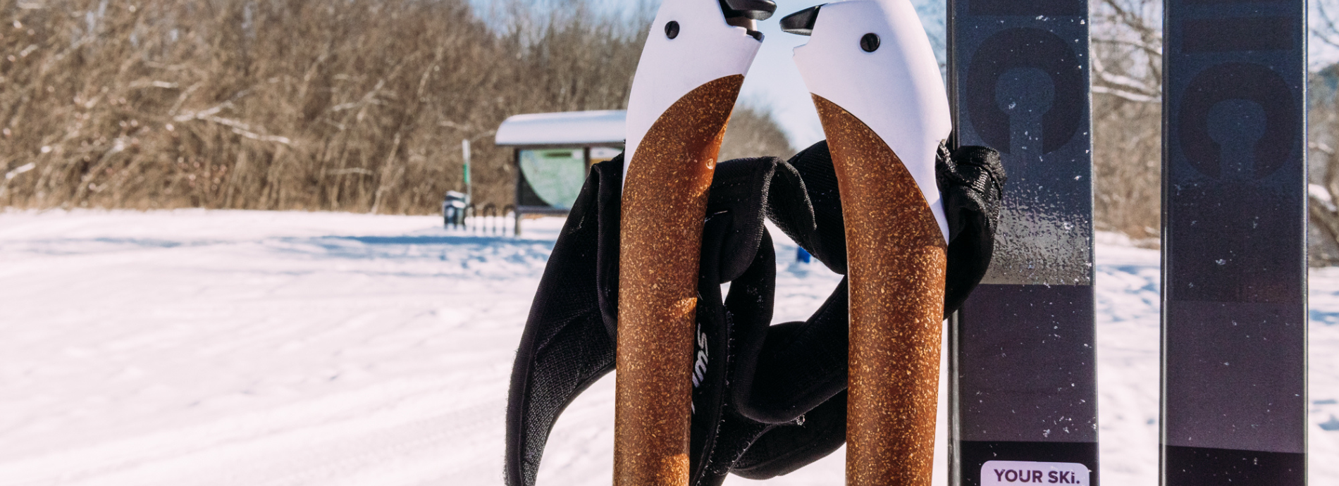 cross country skis near the entry to the Uhthoff Trail