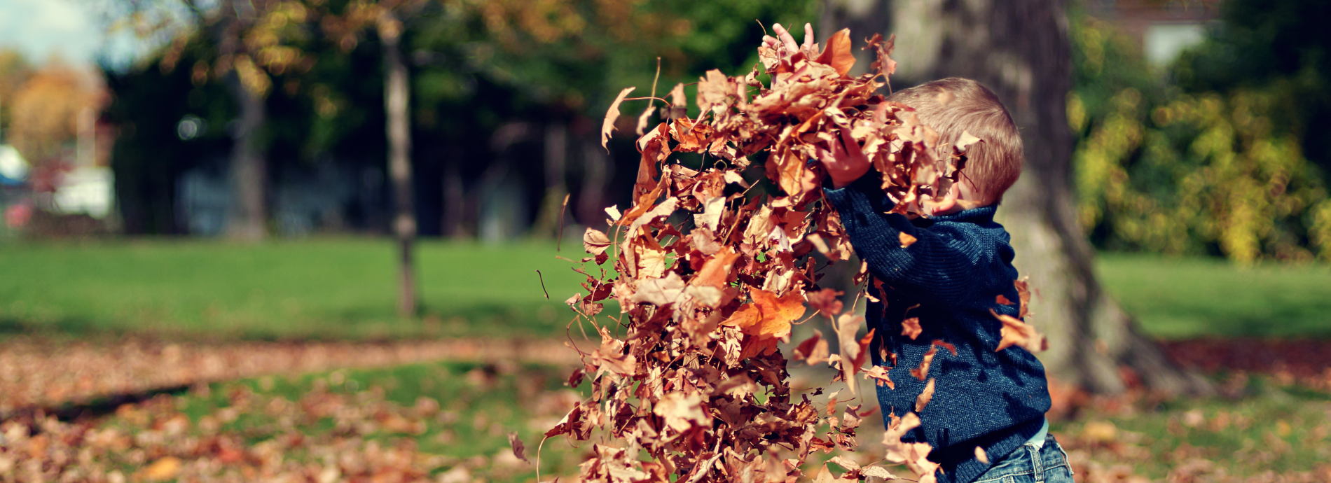 child throwing leaves above their head