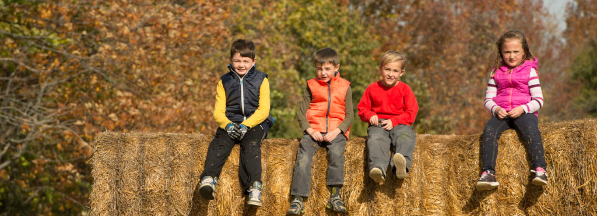 children sitting on straw bales