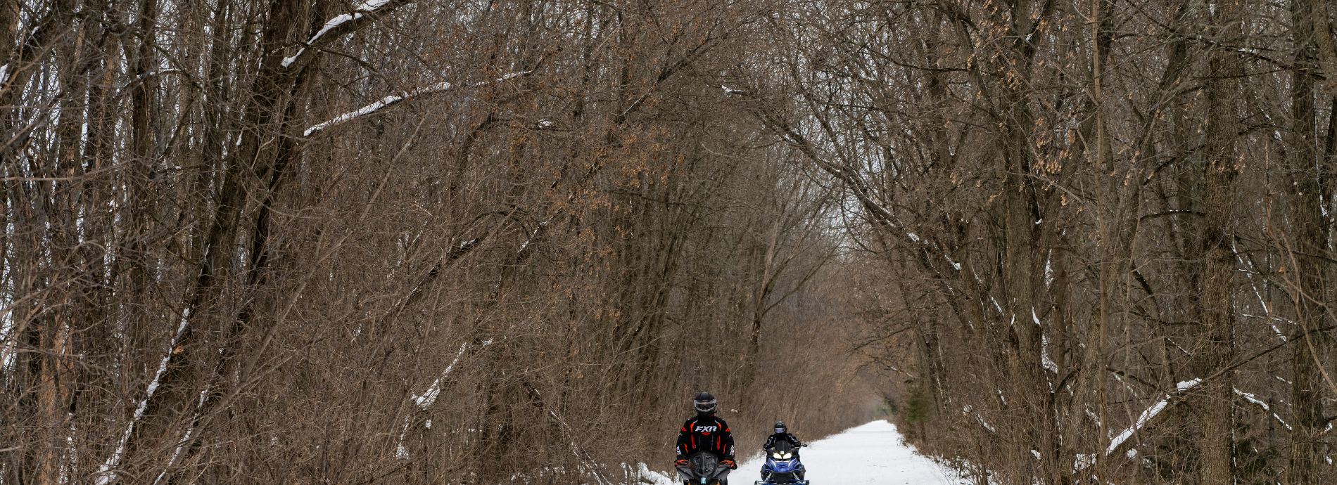 snowmobiles on the Uhthoff Trail