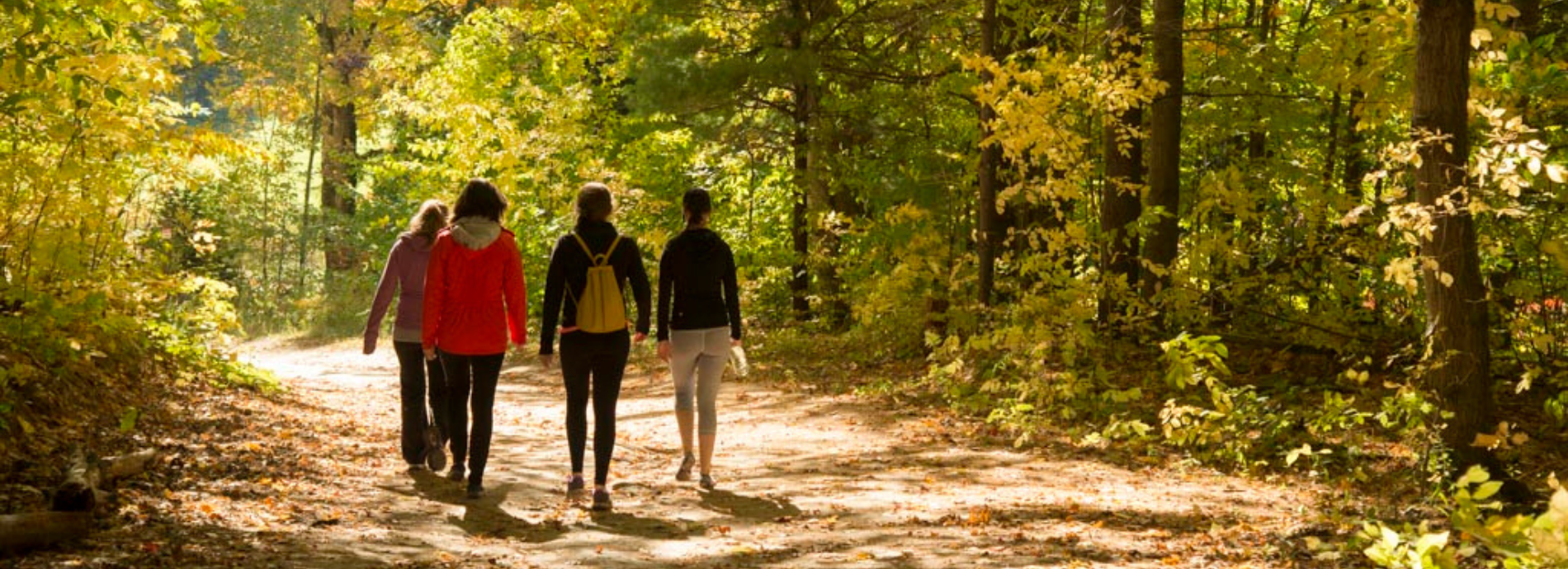 group walking on fall trail